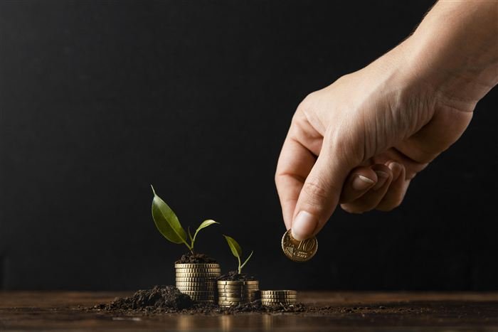 Mutual Fund Investment